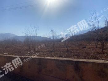 丽江永胜县 30亩 果园 经营权转包