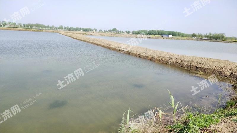 淮南凤台县 160亩 坑塘水面 经营权出租