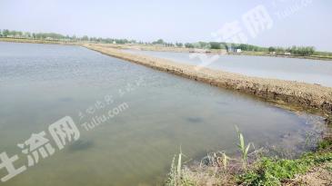 淮南凤台县 160亩 坑塘水面 经营权出租