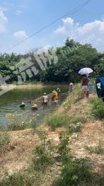 佛山三水区45亩养殖用地-水产养殖用地经营权转让