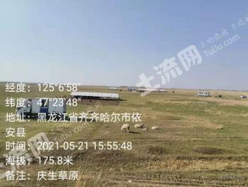 齐齐哈尔依安县 2200亩 天然牧草地 经营权转包