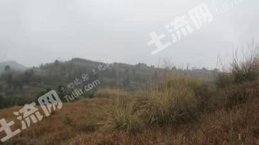 广安武胜县 52.35亩 水浇地 经营权出租