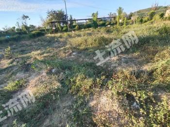 梧州万秀区 652.28亩 水浇地 经营权出租