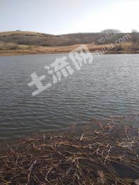 滁州南谯区 100亩 坑塘水面 经营权转让