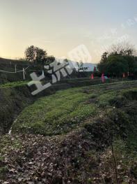 三明沙县 20亩 水田 经营权出租