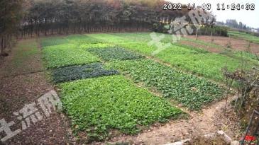 南京栖霞区 22亩 农场 经营权出租