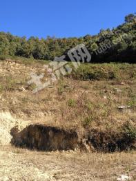 保山隆阳区 64.63亩 其它林地  经营权出租