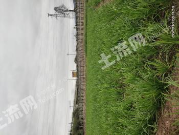 天水武山县9.72亩水浇地经营权出租