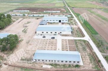 乌兰察布察哈尔右翼前旗 600亩 农场 使用权转让