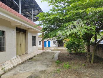 文昌市 1000平米農(nóng)村宅基地 使用權(quán)出租