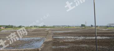 乐山峨眉山市200.79亩水浇地经营权出租