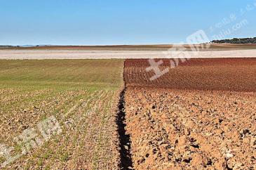 朝阳北票市16.28亩旱地经营权出租