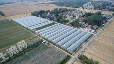 济宁嘉祥县76亩其它园地经营权出租