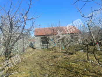 烟台莱山区 2.5亩 果园 经营权出租