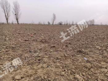 武威古浪县 3422.78亩 水浇地 转包