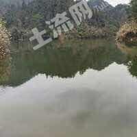 怀化通道侗族自治县30亩水域-水库经营权出租