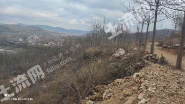 潍坊临朐县80亩旱地经营权转让