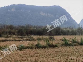 云南省文山市丘北县耕地3000亩经营权出租