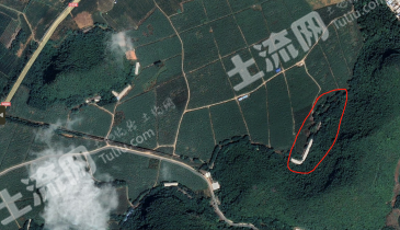 南宁隆安县 10亩 畜牧养殖用地 经营权出租