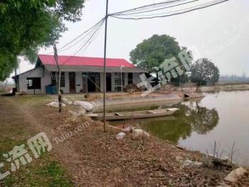 常德安乡县 80亩 坑塘经营权 出租