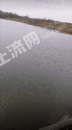 吉林昌邑区 300亩 灌木林地 经营权转让