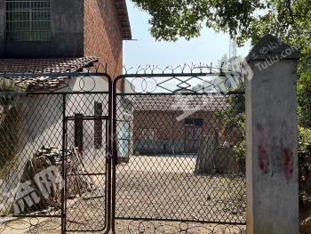 岳阳岳阳县 35.04亩 农场 使用权出租