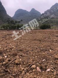 柳州柳江区 100亩 水浇地 经营权出租