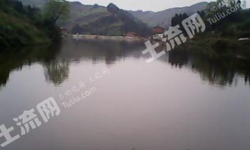 达州通川区 89.8亩 水库水面 经营权转让