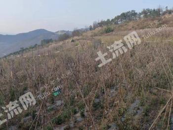 保山昌宁县 20亩 水田经营权 转包