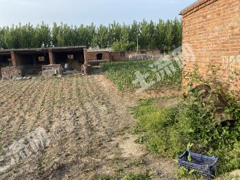 唐山开平区 2亩 畜牧养殖用地 转让