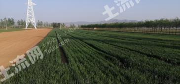 运城闻喜县 5000亩 水田 经营权出租