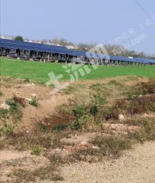 六安霍邱县 170亩 水浇地 经营权转让