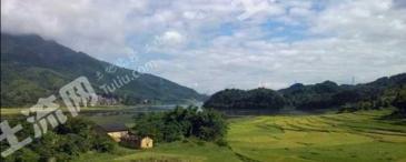 桂林平乐县 500亩 水田 经营权出租