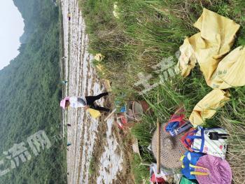 清远阳山县 199.86亩 农场 使用权出租