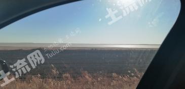 兴安盟突泉县1200亩旱地经营权出租