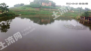 重庆永川区 10亩 坑塘水面 经营权出租