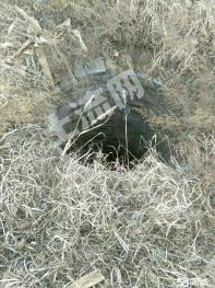 晋中平遥县 16亩 旱地 经营权出租