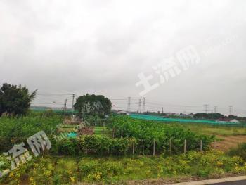 无锡江阴市 45.92亩 农家乐 经营权转让