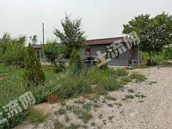 银川西夏区 66.5亩 果园 经营权转包