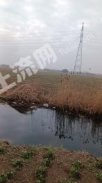 盐城射阳县85亩水田 经营权出租