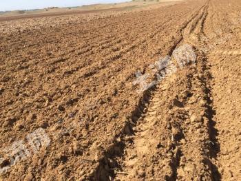 内蒙古包头 45亩 水浇地 经营权出租