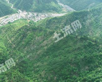 商洛柞水县 932亩 有林地 经营权出租