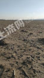 吴忠盐池县2600亩水浇地经营权出租