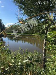 吉林舒兰市 63亩 农场 使用权转让