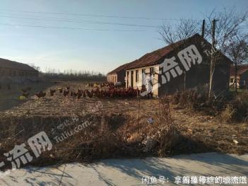 忻州静乐县 4亩养殖用地综合养殖用地 使用权出租