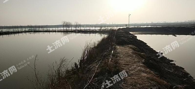 淮南凤台县 280亩 坑塘水面 经营权出租