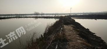 淮南凤台县 280亩 坑塘水面 经营权出租