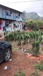 云浮罗定市63亩旱地经营权转让