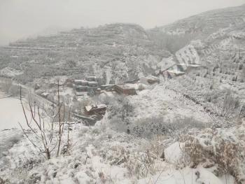 晋中太谷县 1853亩其它林地 使用权转让