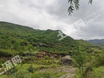兰州榆中县 179.66亩 有林地 转让